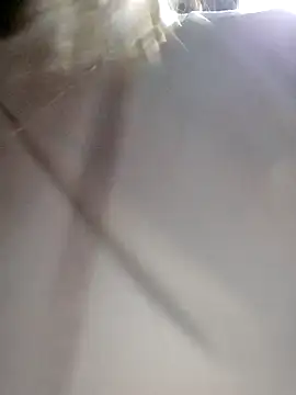 daisy will online show from 12/03/25, 02:08