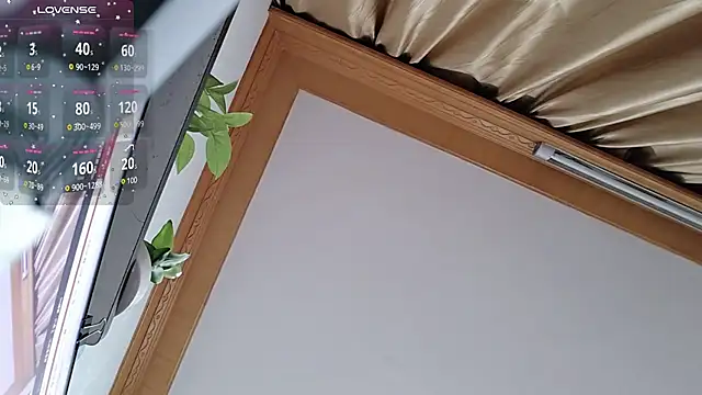 Snapshot of Haili-1 chatting on 10/05/25, 01:53 Haili-1 online show from 10/05/25, 01:53