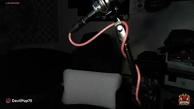 Snapshot of DevilPup75_ chatting on 01/18/26, 02:59 DevilPup75 online show from 01/18/26, 02:59