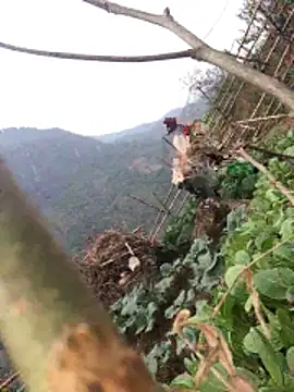 Maymay97 online show from 12/20/25, 10:33