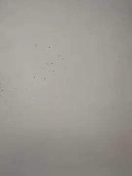 vincentjaxon online show from 11/27/25, 07:05