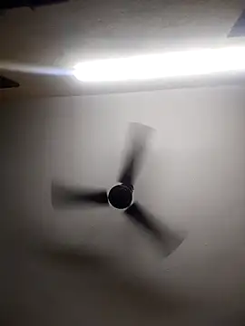 Snapshot of Devi-with-Ram chatting on 10/13/25, 04:34 Devi-with-Ram online show from 10/13/25, 04:34