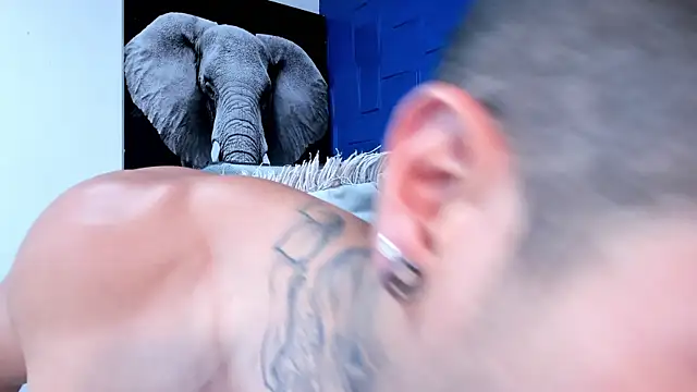 andres-clark92 online show from 11/04/25, 06:07