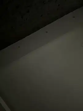 ALANNFERRER online show from 10/04/25, 09:40