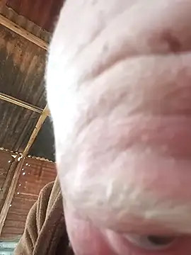 Msabungamazi01 online show from 09/17/25, 09:00