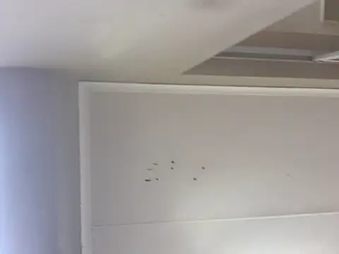 Snapshot of sex-machanic chatting on 11/28/25, 03:31 sex-machanic online show from 11/28/25, 03:31