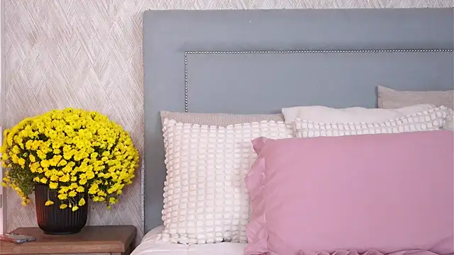 Sofy Bradd online show from 11/08/25, 08:36