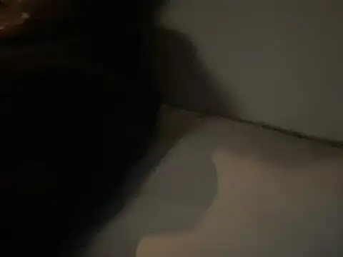 dddasani online show from 12/15/25, 06:45