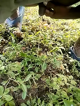 Snapshot of BlackhorseBBC chatting on 10/14/25, 02:01 BlackhorseBBC online show from 10/14/25, 02:01