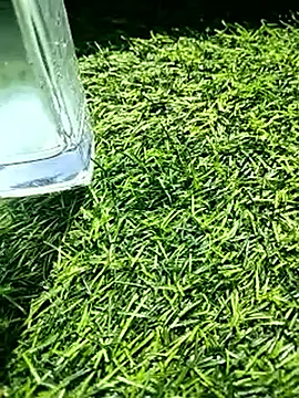 Snapshot of BlackhorseBBC chatting on 02/18/26, 06:31 BlackhorseBBC online show from 02/18/26, 06:31