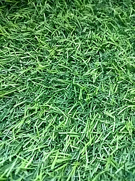 Snapshot of BlackhorseBBC chatting on 03/14/26, 09:48 BlackhorseBBC online show from 03/14/26, 09:48