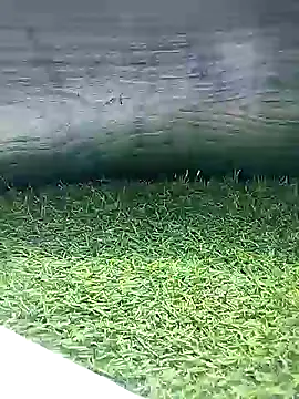 Snapshot of BlackhorseBBC chatting on 03/26/26, 06:52 BlackhorseBBC online show from 03/26/26, 06:52