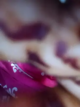 Exotic-bhabhi online show from 04/19/26, 11:31