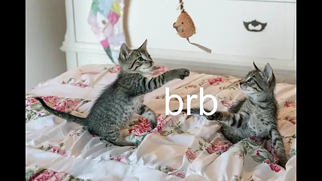 Pink girl0n online show from 09/24/25, 02:42