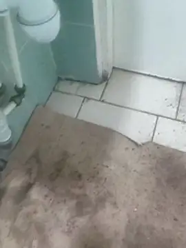 Snapshot of TrixieAndDaddy chatting on 11/12/25, 06:14 TrixieAndDaddy online show from 11/12/25, 06:14