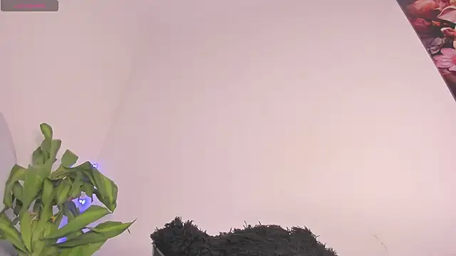 Lucy shen  online show from 11/15/25, 12:52