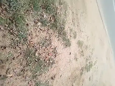 Snapshot of SAManthapathmasri chatting on 11/17/25, 07:47 SAManthapathmasri online show from 11/17/25, 07:47