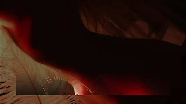 Snapshot of Alvuwkaa chatting on 12/01/25, 08:08 Alvuwkaa online show from 12/01/25, 08:08