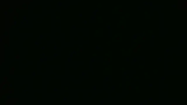 Snapshot of ch0wn_m chatting on 09/18/25, 01:13 ch0wn m online show from 09/18/25, 01:13