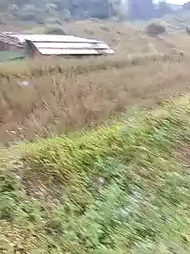 Phuongphuongg online show from 10/20/25, 02:23