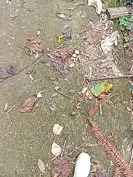 Phuongphuongg online show from 10/27/25, 04:27