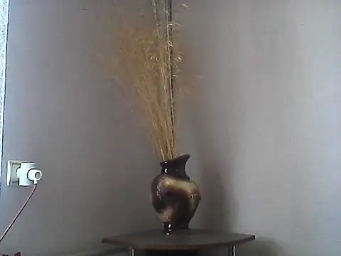 Littlecatme online show from 07/27/26, 07:04