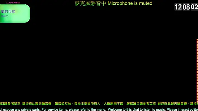 Snapshot of tw239398 chatting on 02/19/26, 04:08 tw239398 online show from 02/19/26, 04:08