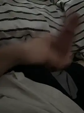 Snapshot of user666688 chatting on 03/09/26, 08:13 user666688 online show from 03/09/26, 08:13