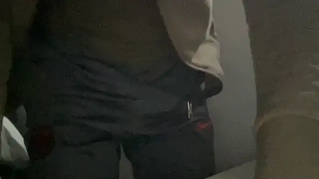 Snapshot of peterpapiNL chatting on 10/27/25, 04:00 peterpapiNL online show from 10/27/25, 04:00