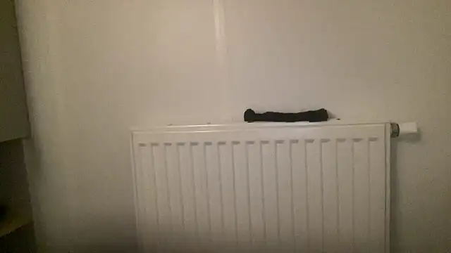 Snapshot of peterpapiNL chatting on 01/13/26, 04:34 peterpapiNL online show from 01/13/26, 04:34