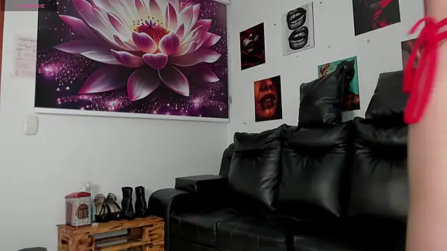 lycoris 19 online show from 01/11/26, 09:20