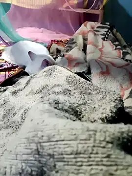 m11a2f3a4z5 online show from 02/14/26, 11:51