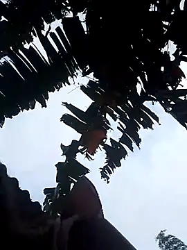 optra34 online show from 10/22/25, 11:37