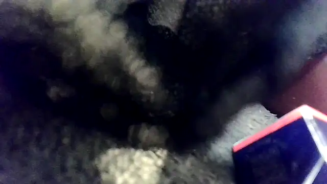 Snapshot of Evieskyy@xh chatting on 11/26/25, 10:49 Evieskyyxh online show from 11/26/25, 10:49