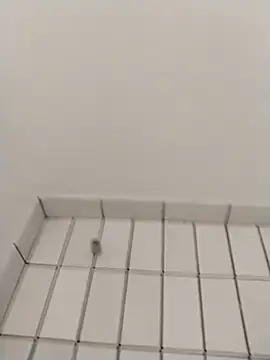 Snapshot of Ajayy01 chatting on 10/31/25, 07:42 Ajayy01 online show from 10/31/25, 07:42