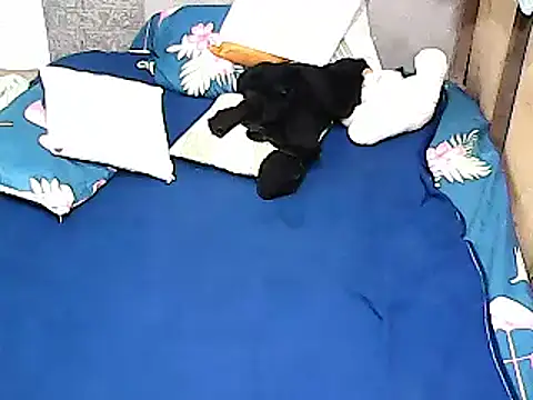 xxhottinybabe online show from 07/29/26, 10:02