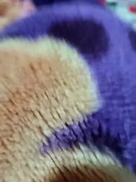 Snapshot of sana-5 chatting on 03/15/26, 03:18 sana-5 online show from 03/15/26, 03:18