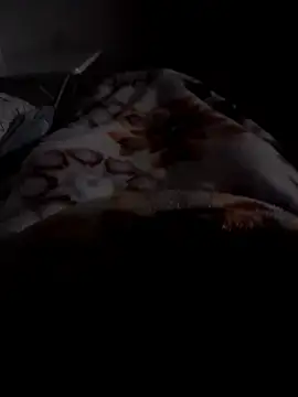 Snapshot of ratoncito_3 chatting on 01/12/26, 12:38 ratoncito 3 online show from 01/12/26, 12:38