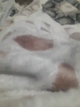 Snapshot of ratoncito_3 chatting on 01/16/26, 05:50 ratoncito 3 online show from 01/16/26, 05:50