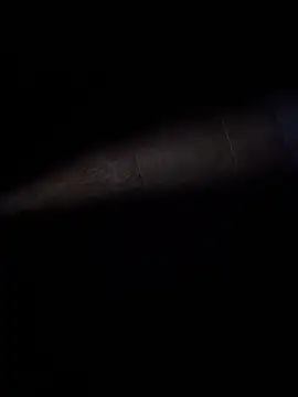 Snapshot of ratoncito_3 chatting on 02/08/26, 02:37 ratoncito 3 online show from 02/08/26, 02:37