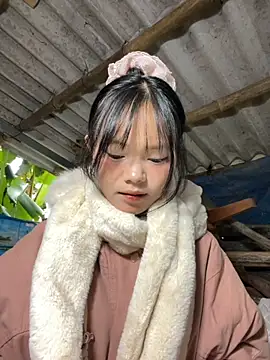 AdamLazis online show from 11/19/25, 01:38