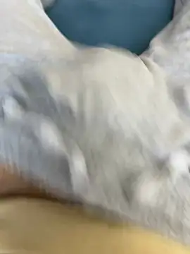 Snapshot of Frankieyyy1 chatting on 03/15/26, 07:58 Frankieyyy1 online show from 03/15/26, 07:58