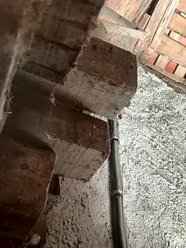 fcach2244 online show from 09/09/25, 08:25