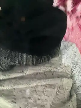 Snapshot of Yasar-Xxxl chatting on 02/12/26, 01:44 Yasar-Xxxl online show from 02/12/26, 01:44