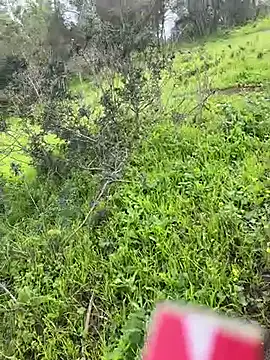 Snapshot of Yasar-Xxxl chatting on 03/06/26, 03:52 Yasar-Xxxl online show from 03/06/26, 03:52