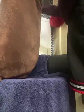 Snapshot of Yasar-Xxxl chatting on 03/12/26, 03:29 Yasar-Xxxl online show from 03/12/26, 03:29