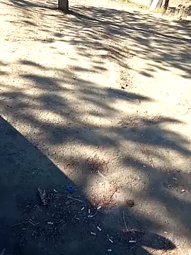 Snapshot of bullut06 chatting on 09/23/25, 06:38 bullut06 online show from 09/23/25, 06:38