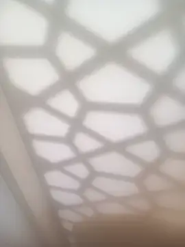 Snapshot of bullut06 chatting on 02/04/26, 11:38 bullut06 online show from 02/04/26, 11:38