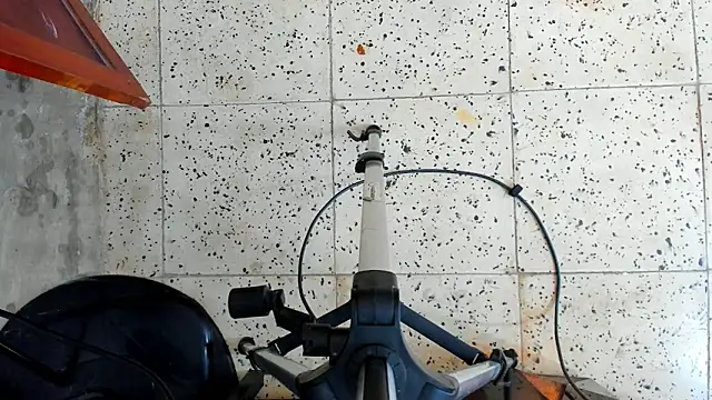 David niet online show from 10/16/25, 05:47