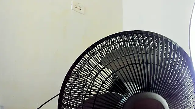 David niet online show from 11/04/25, 06:18